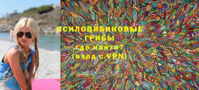 Галлюциногенные грибы Magic Shrooms  Хабаровск 